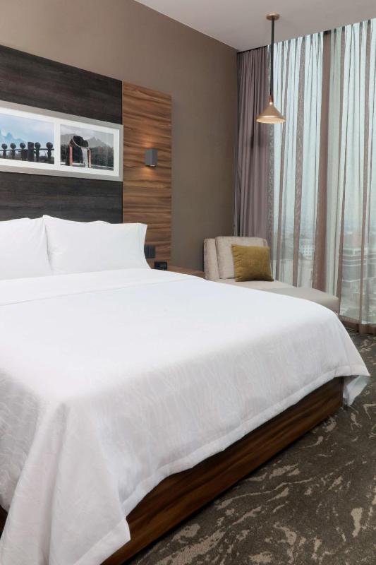 Hilton Garden Inn Monterrey Obispado - image 11