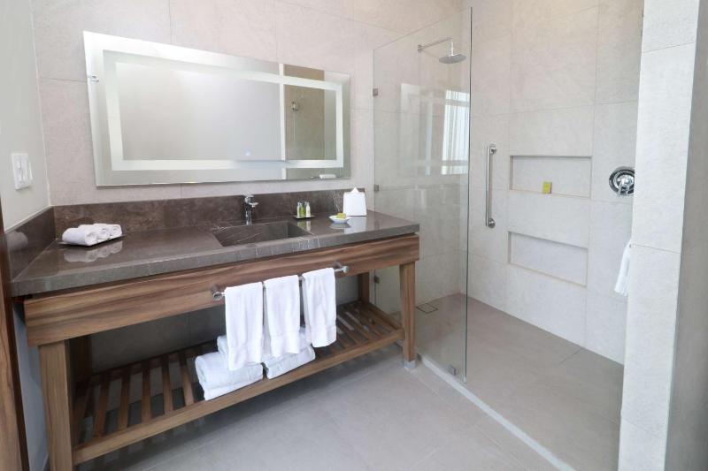 Hilton Garden Inn Monterrey Obispado - image 33