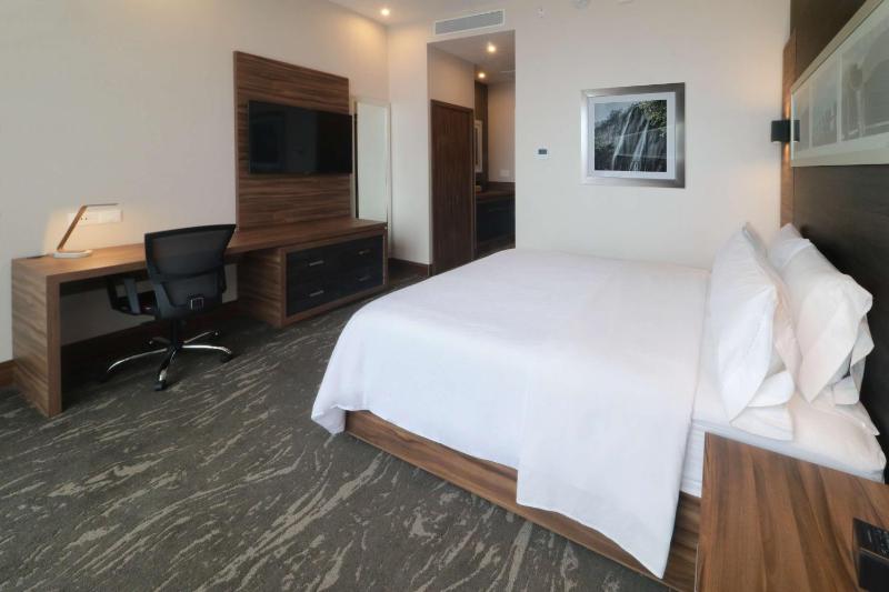 Hilton Garden Inn Monterrey Obispado - image 4