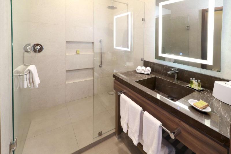 Hilton Garden Inn Monterrey Obispado - image 6
