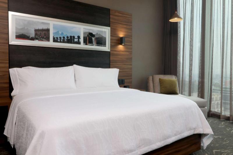 Hilton Garden Inn Monterrey Obispado - image 29