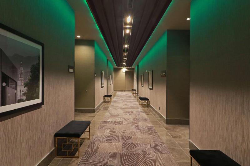 Hilton Garden Inn Monterrey Obispado - image 49