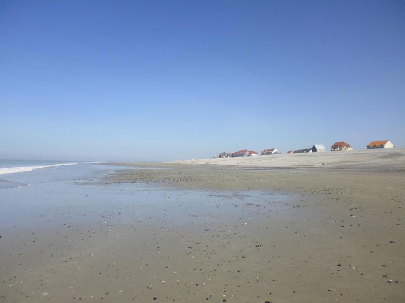 One-Bedroom Apartment image 4