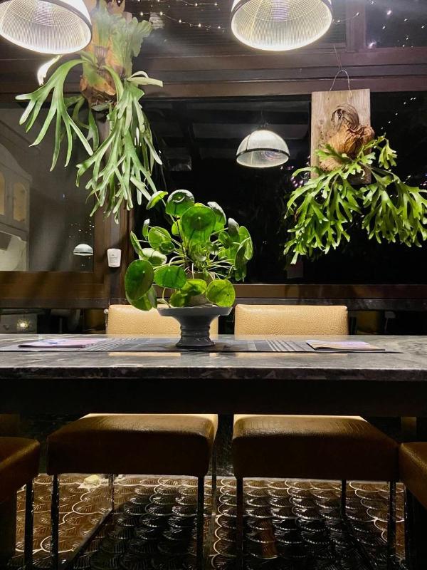 花蓮娜吉瑪民宿 Najima B&B 寵物友善 停車場 - image 8