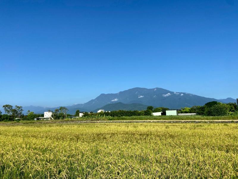 花蓮娜吉瑪民宿 Najima B&B 寵物友善 停車場 - image 48