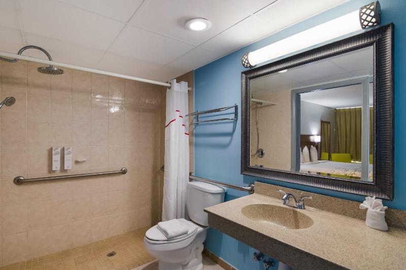 Suite King Disability Access Roll-In Shower Non-Smoking image 2