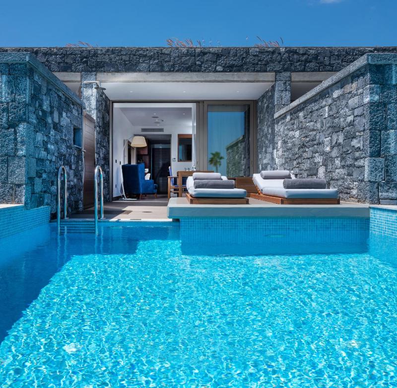 Deluxe Junior Suite Sea View with Private Pool image 1