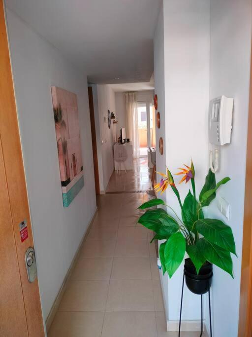 Bajo con jardín a pie de playa y piscina comunitaria con jacuzzi - image 16