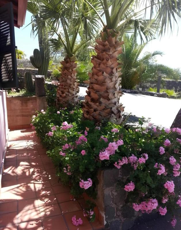 Two-Bedroom Villa with Garden image 2