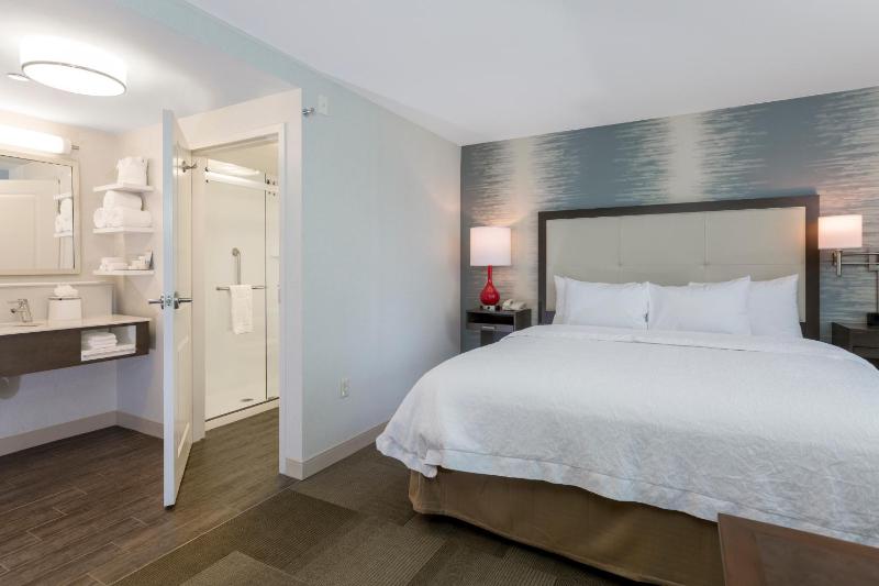 King Studio Suite with Sofa Bed - Non-Smoking image 1