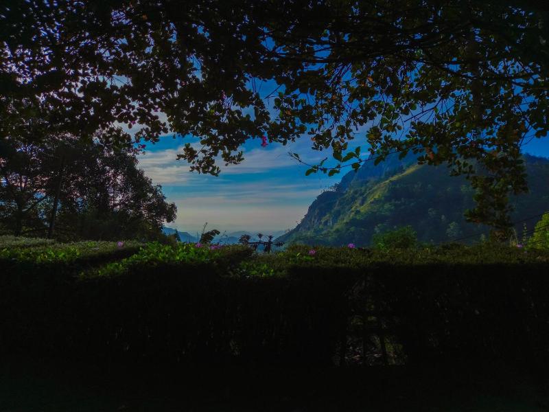 Ella Happy View Homestay - image 24