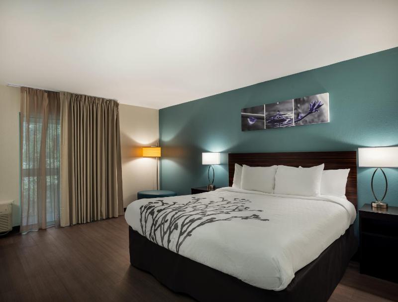 King Room - Non-Smoking image 4