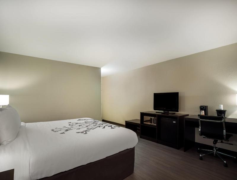 King Room - Non-Smoking image 3