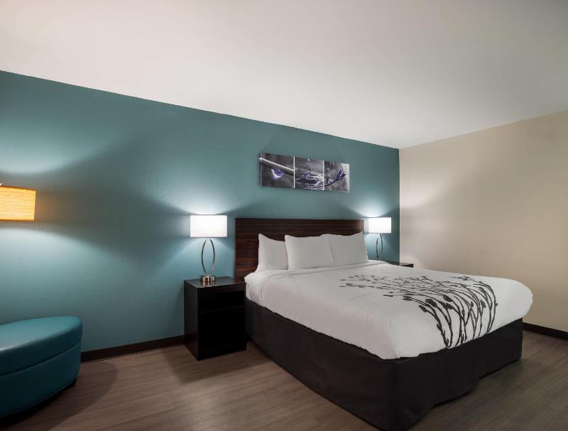 King Room - Non-Smoking image 2