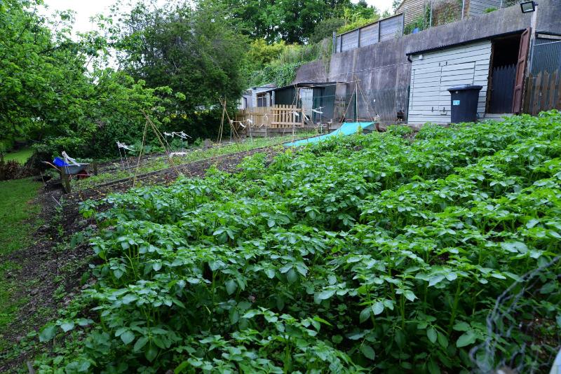Gabriel House Guesthouse - image 3