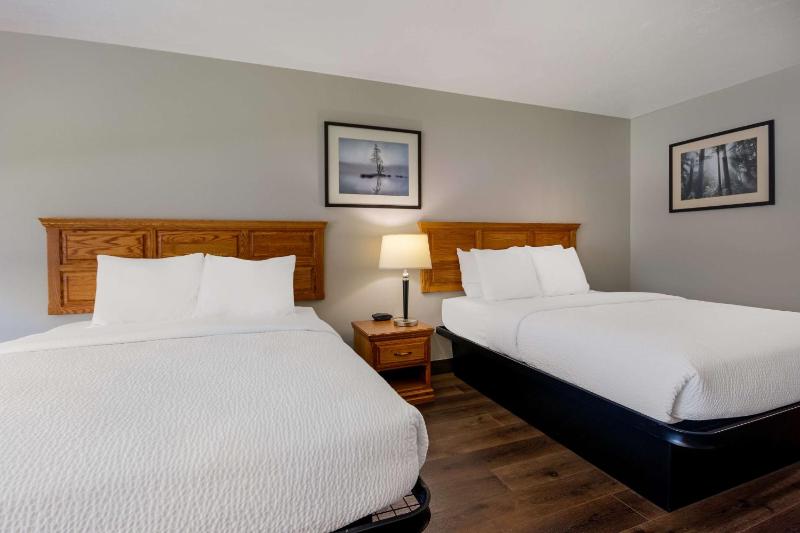 Queen Room with Two Queen Beds - Non-Smoking image 4