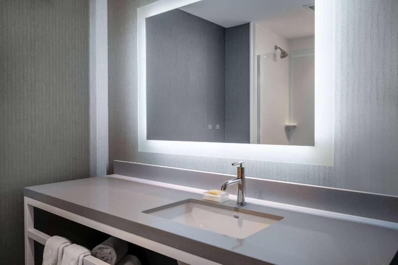1 King Bed, Mobility/Hearing Accessible Room, Roll-In Shower, Non-Smoking image 2