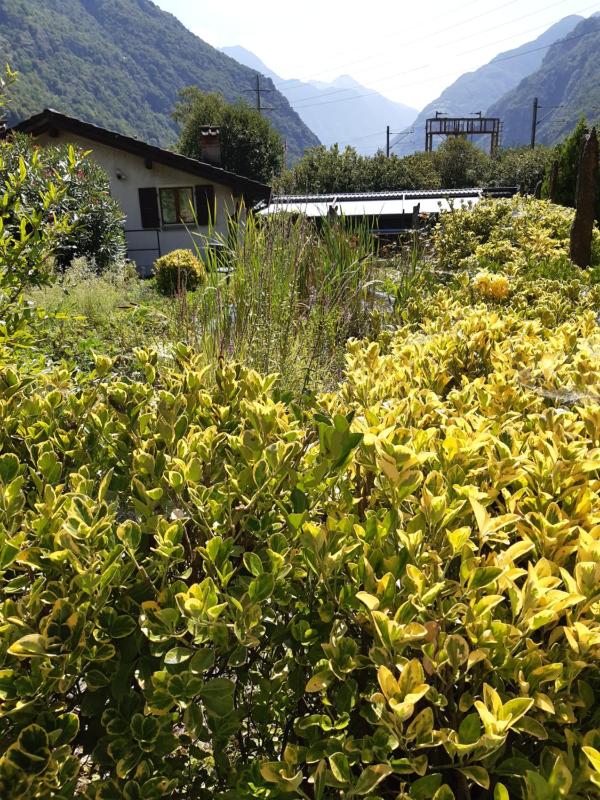 Double Room with Garden View with Private Bathroom image 1