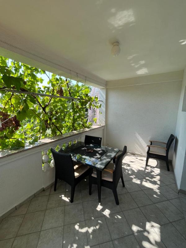 One-Bedroom Apartment image 4
