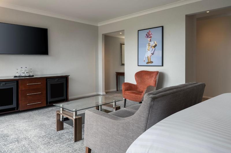 King Suite with View image 4