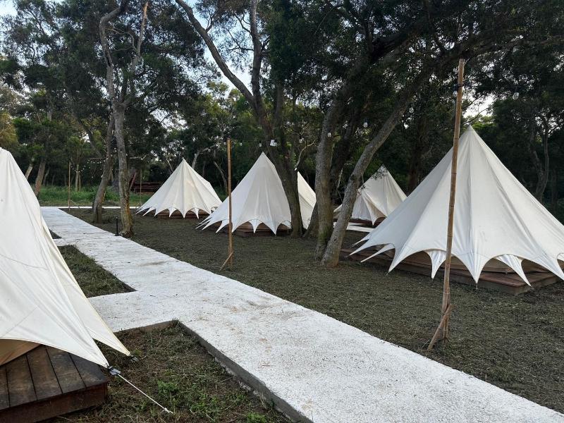 Touching Camping - image 17