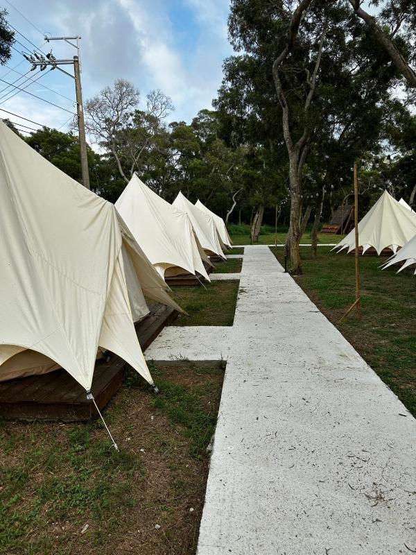 Touching Camping - image 3