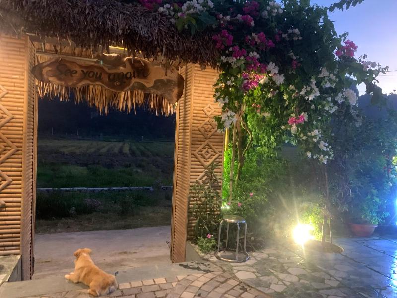 Tam Coc Minh Hung Homestay - image 49