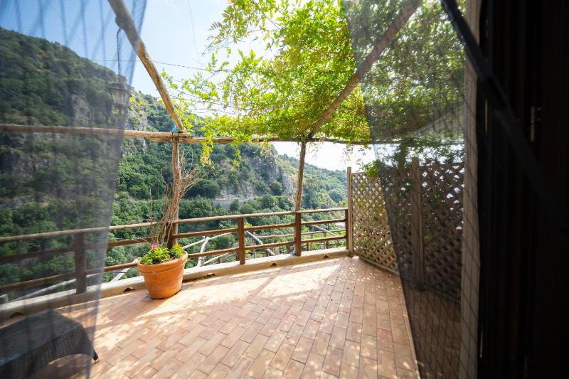 Studio with Terrace image 3