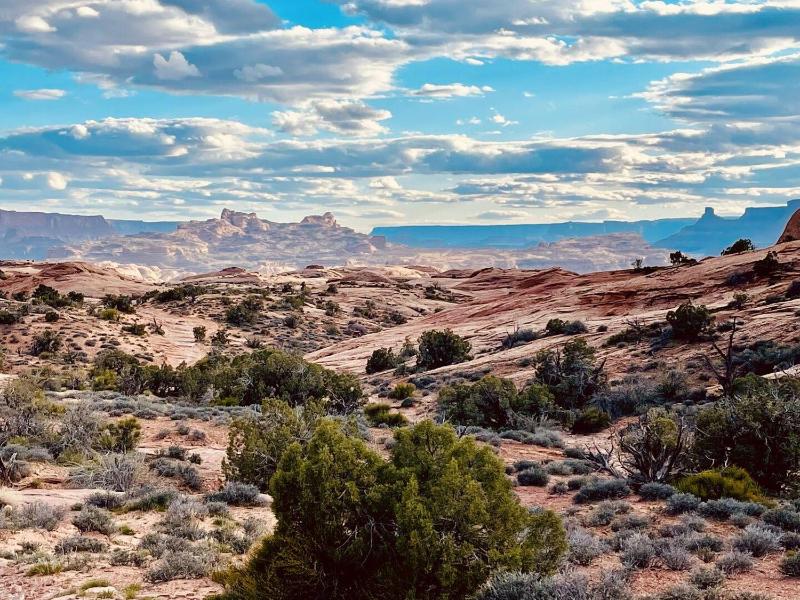 Entrada at Moab 594 and 598 - image 45