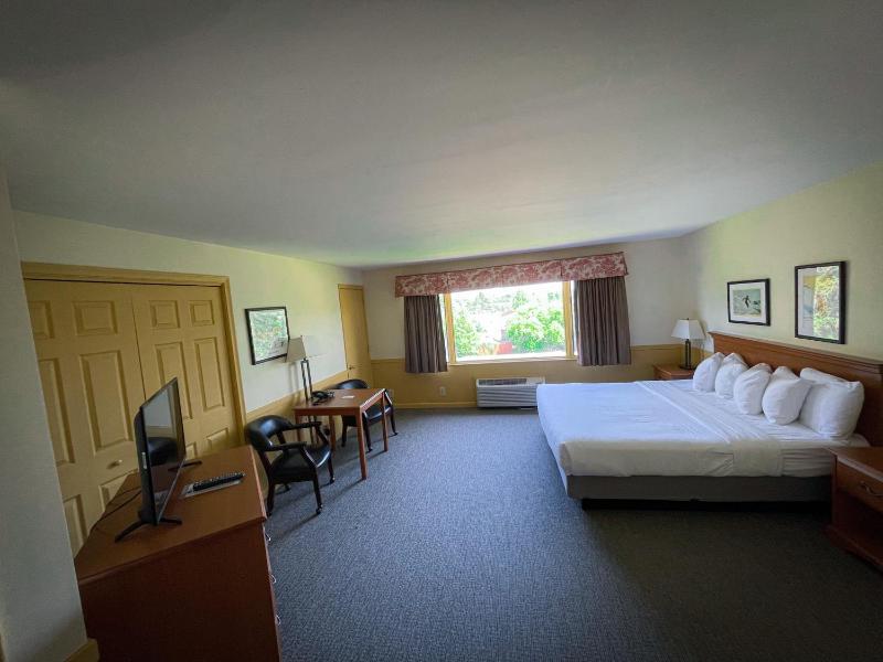 Standard King Room image 4