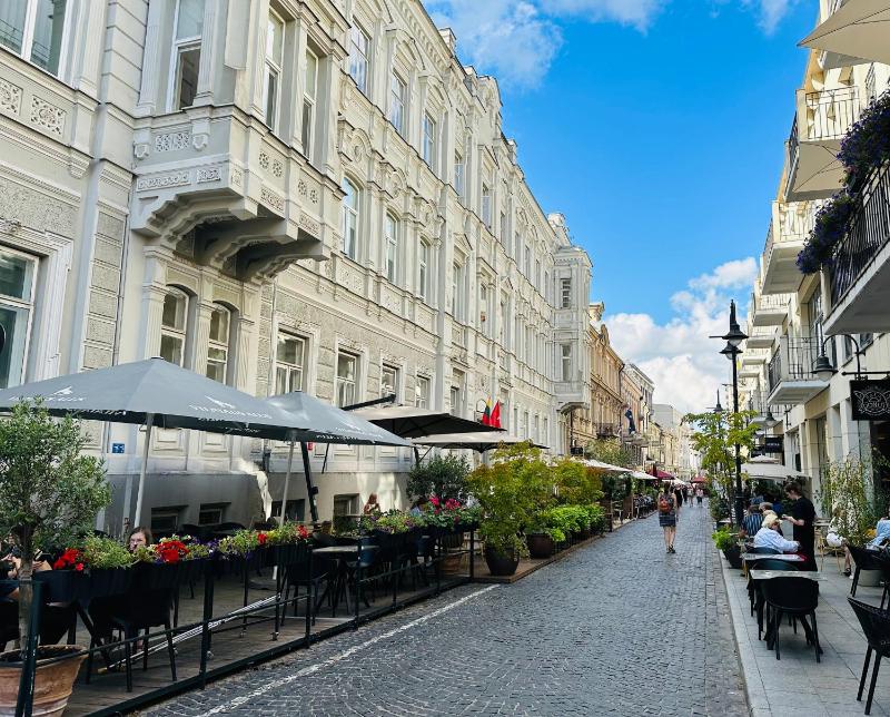 Vilnius street apartment - image 2