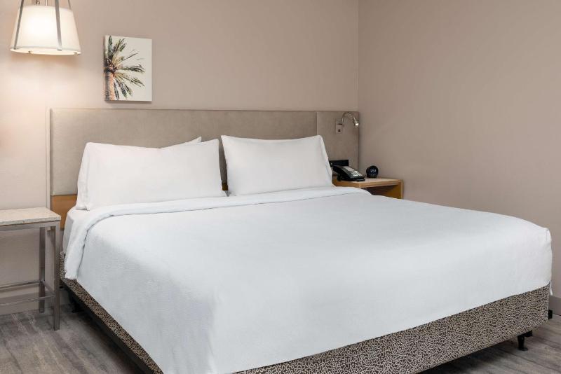 One-Bedroom Mini Suite with Sofa Bed image 1