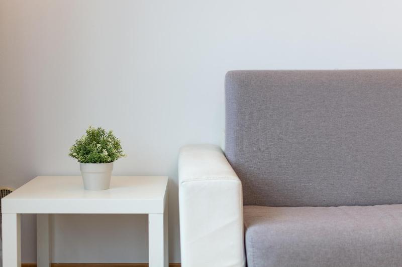Superior Apartment image 4