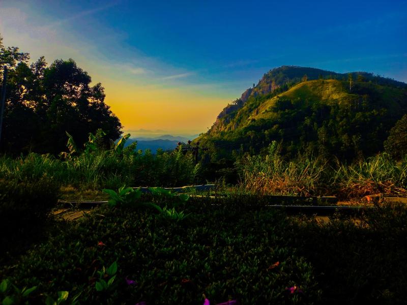 Ella Happy View Homestay - image 32