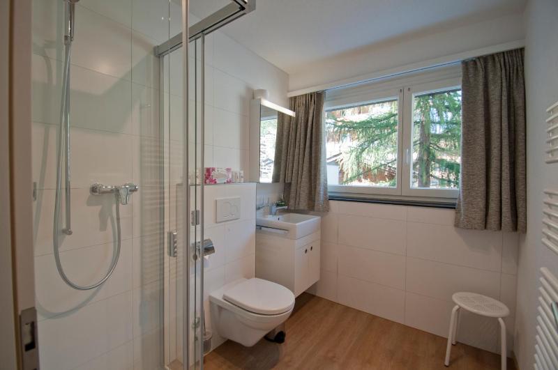 Haus Matten Apartment Breithorn - image 7