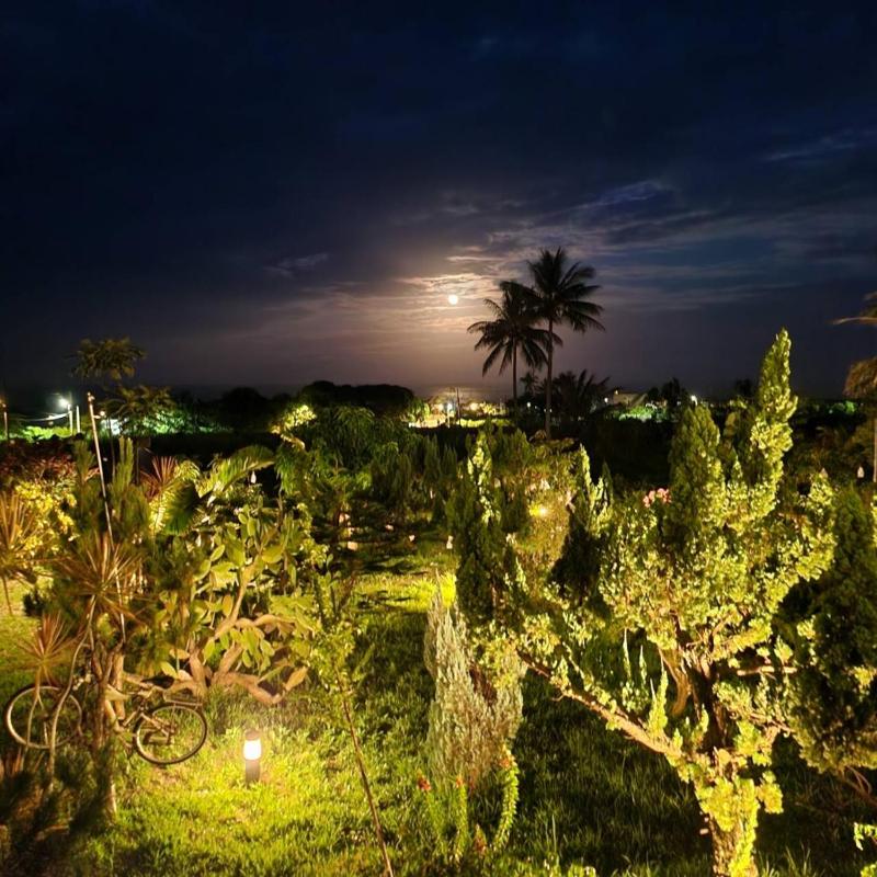 Gajilia B&B - image 15