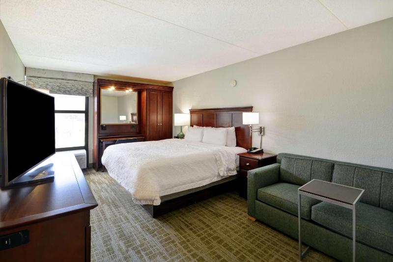 King Room with Sofa Bed with Microwave and Mini-Fridge - Non-Smoking image 1