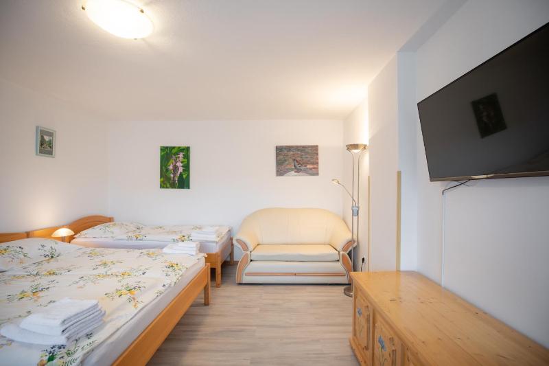 One-Bedroom Apartment image 2
