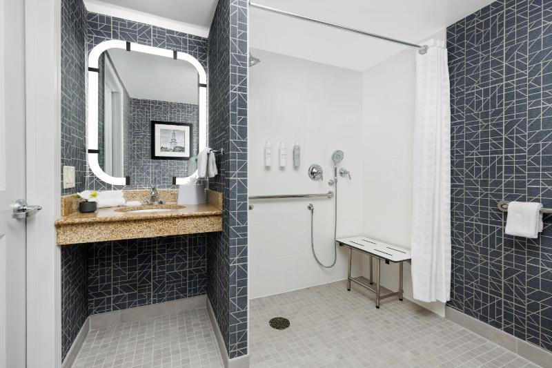 Queen Studio Suite - Mobility Accessible image 4