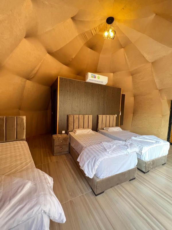 Wadi Rum Mars Camp - image 16