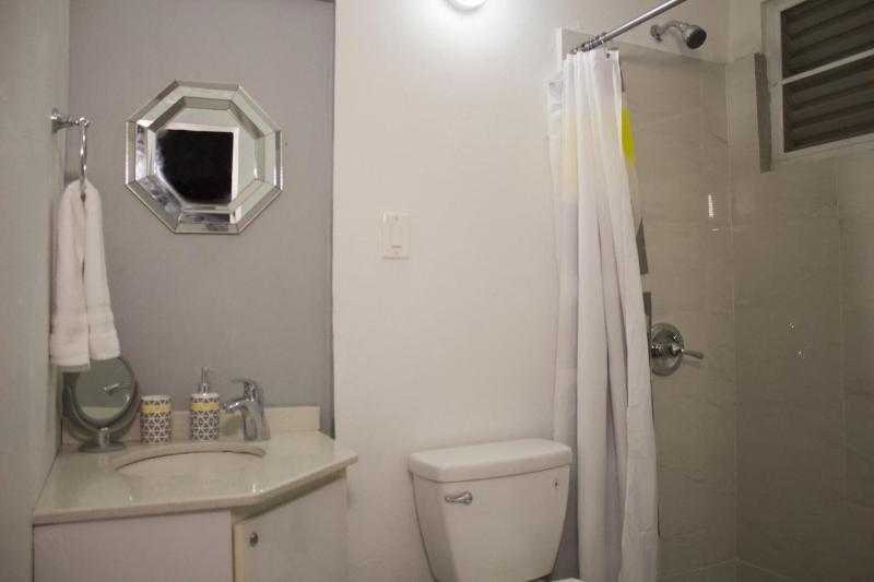 One-Bedroom Apartment image 1