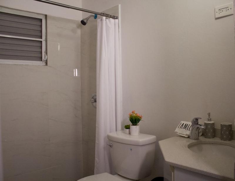 One-Bedroom Apartment image 2