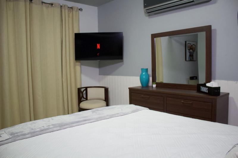 One-Bedroom Apartment image 2