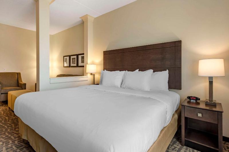 King Suite - Accessible/Non Smoking image 2