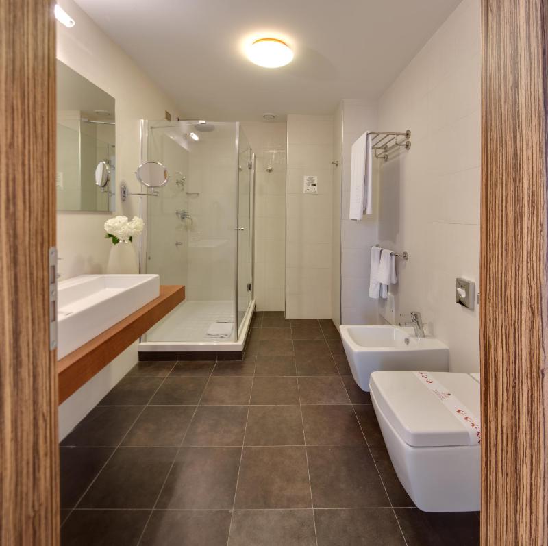 Junior King Suite image 4
