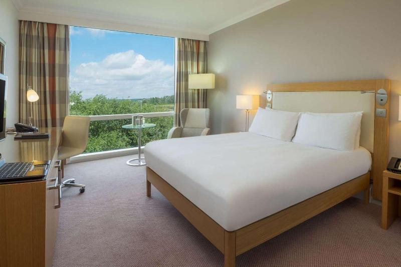 Deluxe Queen Room image 1