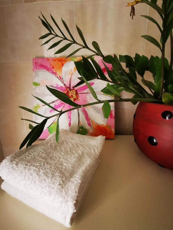 B&B Ospedale Maggiore Parma affittacamere - image 39