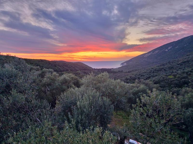 Villa Tramonto D'Oro - image 16