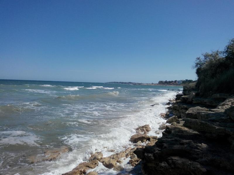 Vila Antonia - image 19