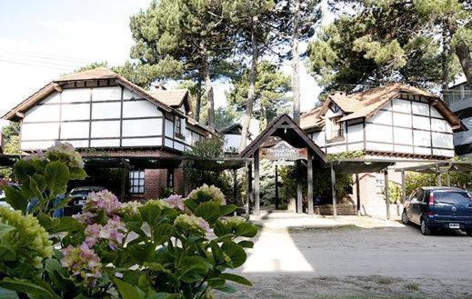 Pinamar De La Lisa - image 6